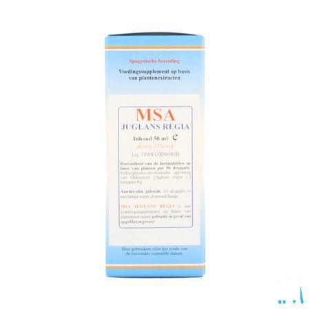 Juglans Regia Msa Maceraat Druppels 50 ml  -  Herboplanet