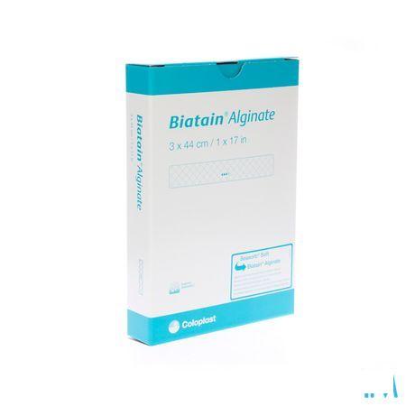 Biatain Alginate Ag Filler Ster 3cmx44cm 10 3780  -  Coloplast