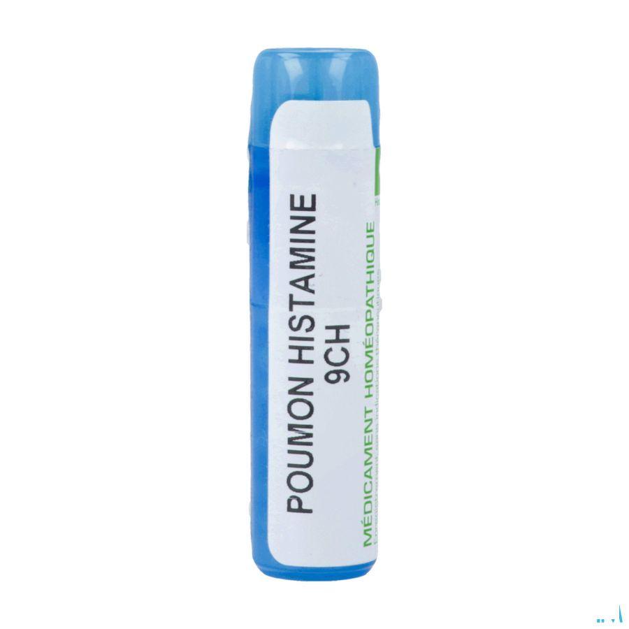 Poumon Histamine 9CH Gr 4g  -  Boiron