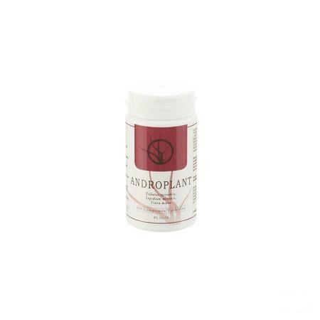 Androplant Tabletten 100  -  Dynarop Products