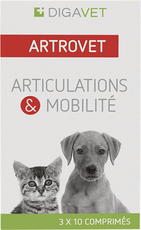 Artrovet Hond Kat Comp 3X10