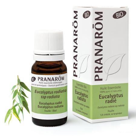 Eucalyptus Radie Bio Essentiele Olie 10 ml  -  Pranarom