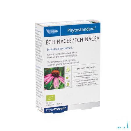 Phytostandard Echinacea Capsule 20  -  Pileje