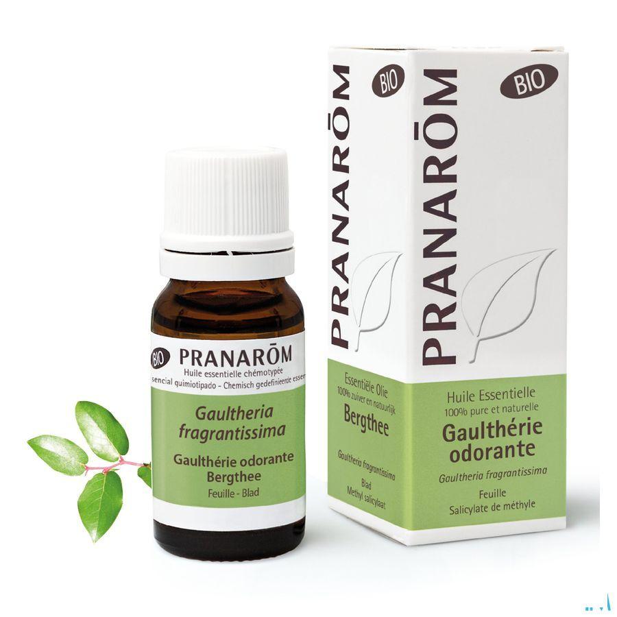 Gaultherie Odorante Bio Essentiele Olie 10 ml  -  Pranarom