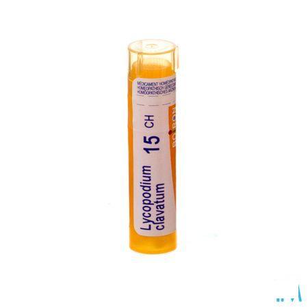 Lycopodium Clavatum 15CH Gr 4g  -  Boiron