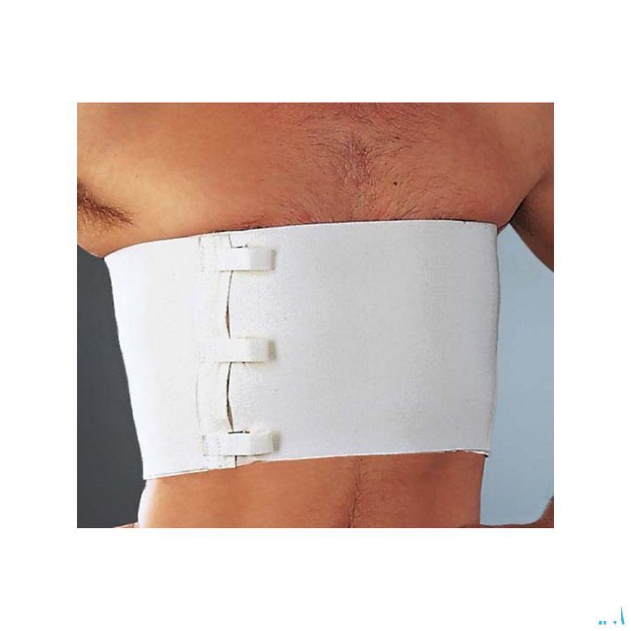Cemen Bande Ceint.thorax-ventre Blanc 25cmx2,50m 1  -  Thuasne Benelux