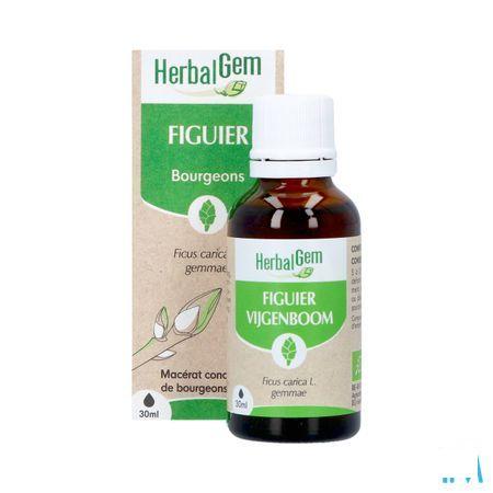 Herbalgem Figuier Bio 30 ml