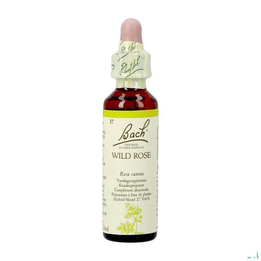 Bach Flower Remedie 37 Wild Rose 20 ml