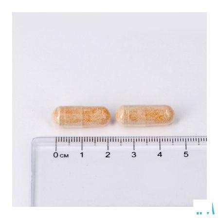 Lepivits Articare V-Caps 90