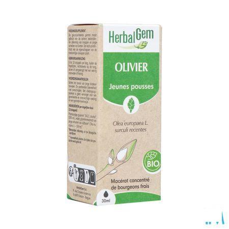 Herbalgem Olijfboom Bio 30 ml