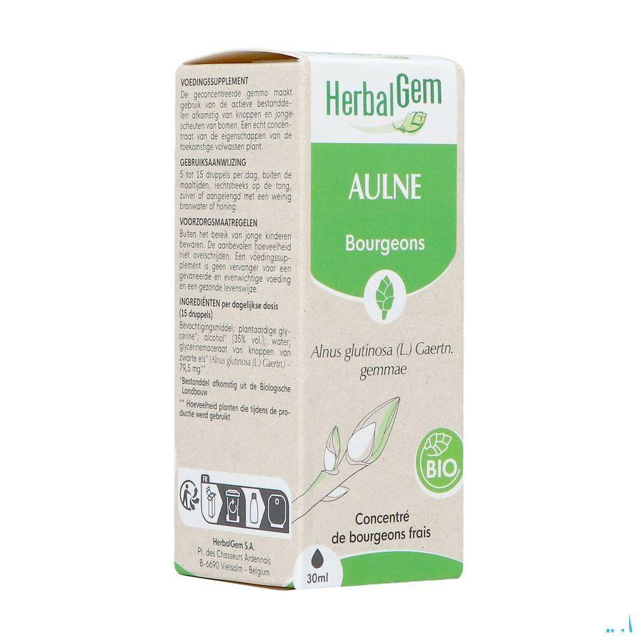 Herbalgem Els Bio 30 ml