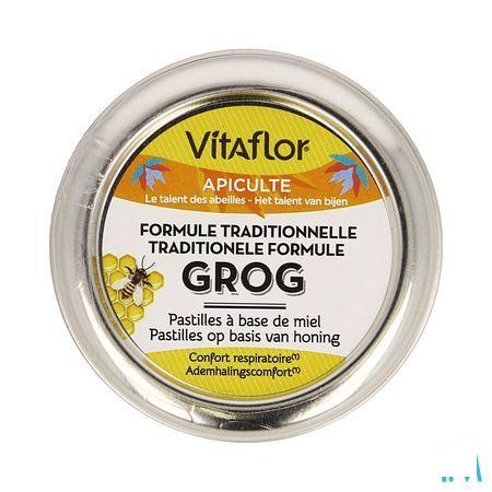Vitaflor Grog Tradit. Formule Honing Past. 45G