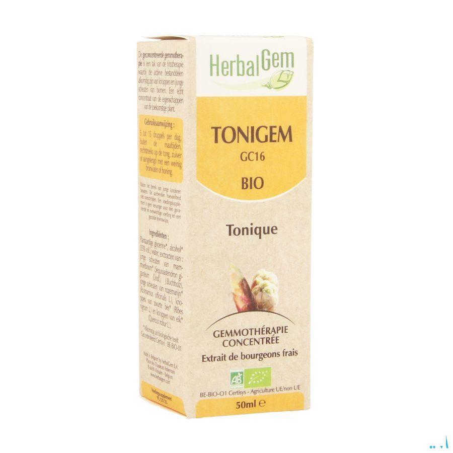 Herbalgem Tonigem Complex 50 ml  -  Herbalgem