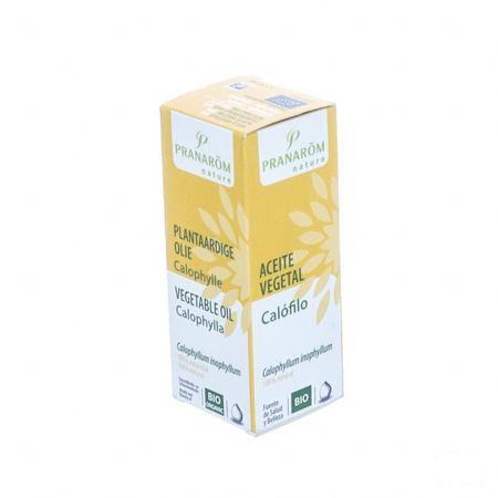 Calophyllus Bio Plantaardige Olie 50 ml  -  Pranarom