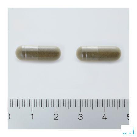 Arkocaps Ginkgo Biloba Plantaardig Duo 2X45  -  Arkopharma 