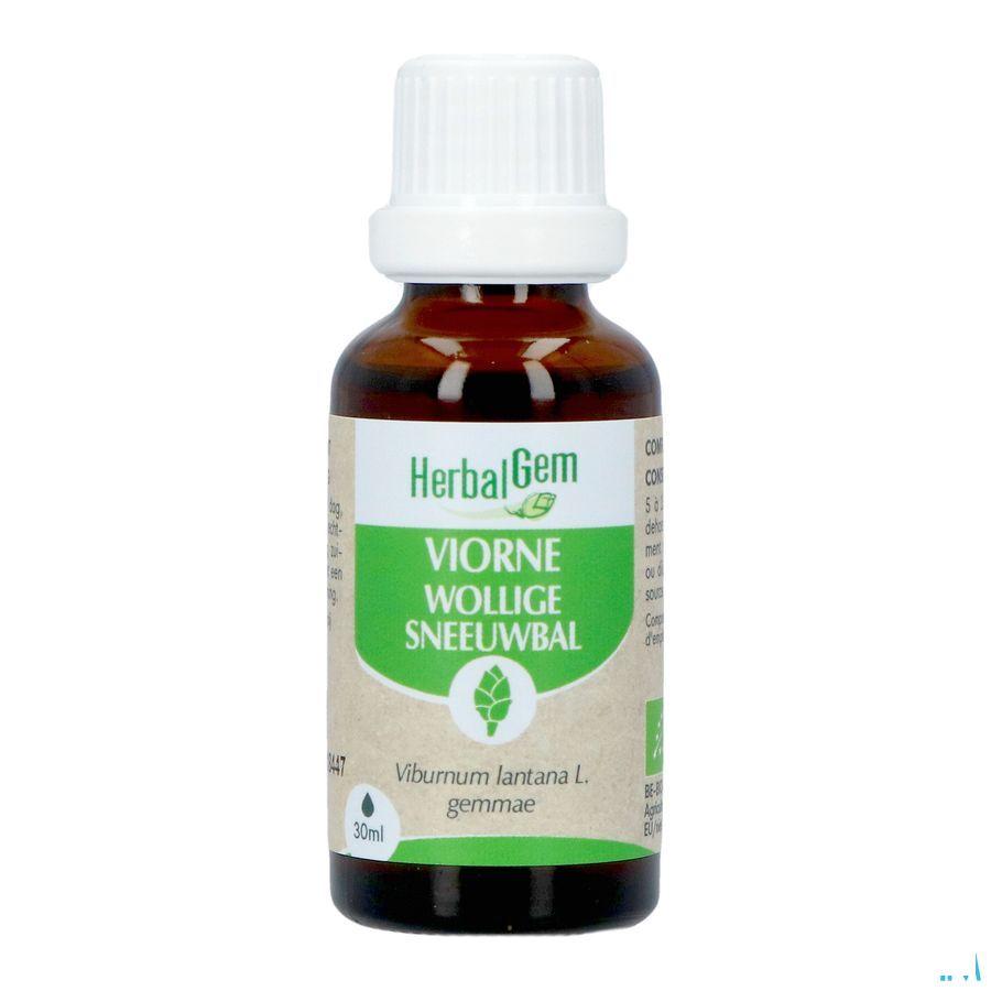 Herbalgem Viorne Bio 30 ml