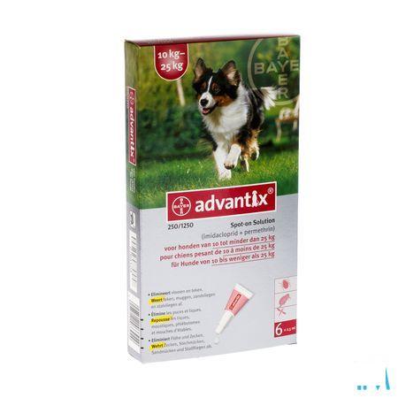 Advantix 250/1250 Chiens 10