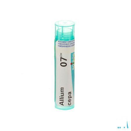 Allium Cepa 7CH Gr 4g  -  Boiron
