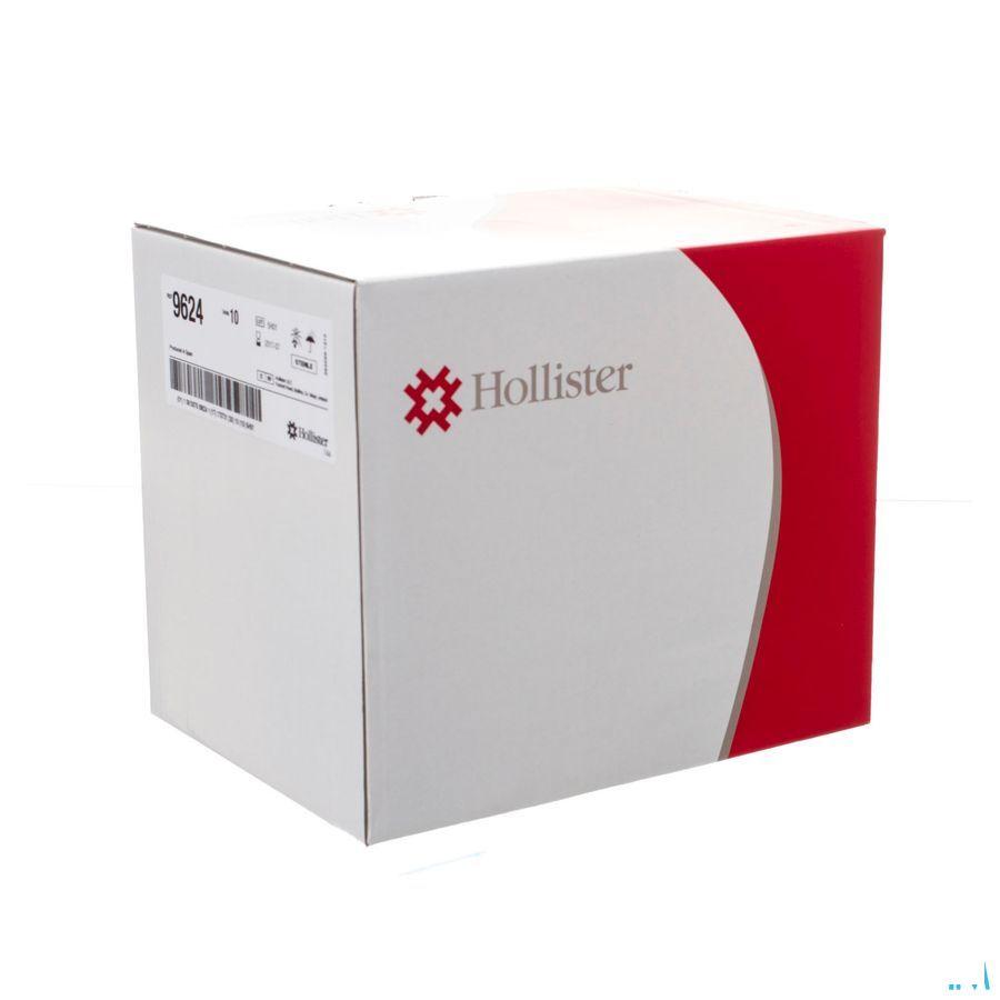 Hollister Beenzak 500Ml 10 9624