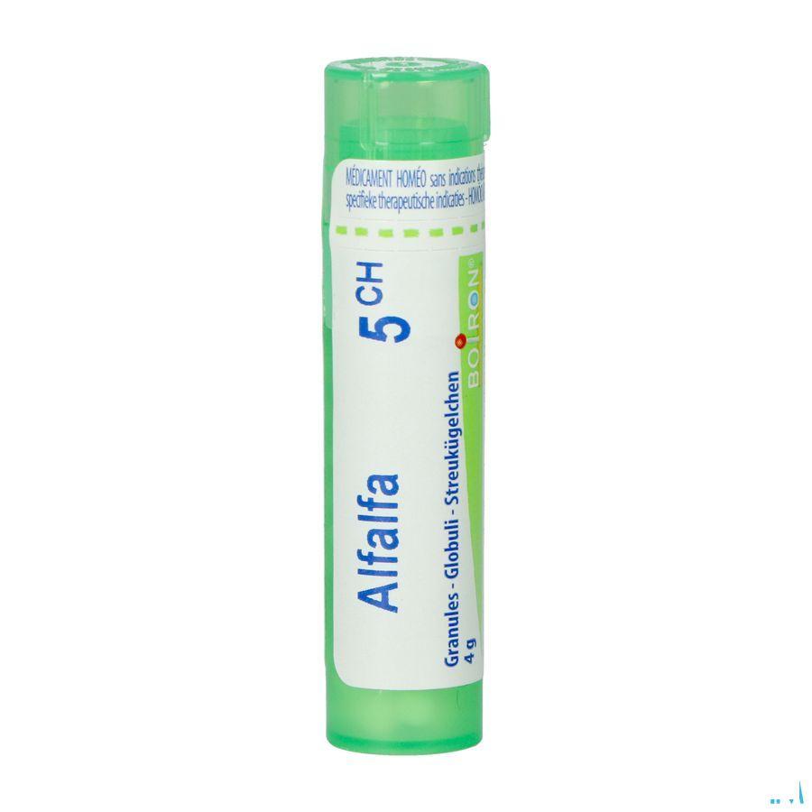 Alfalfa 5CH Gr 4g  -  Boiron