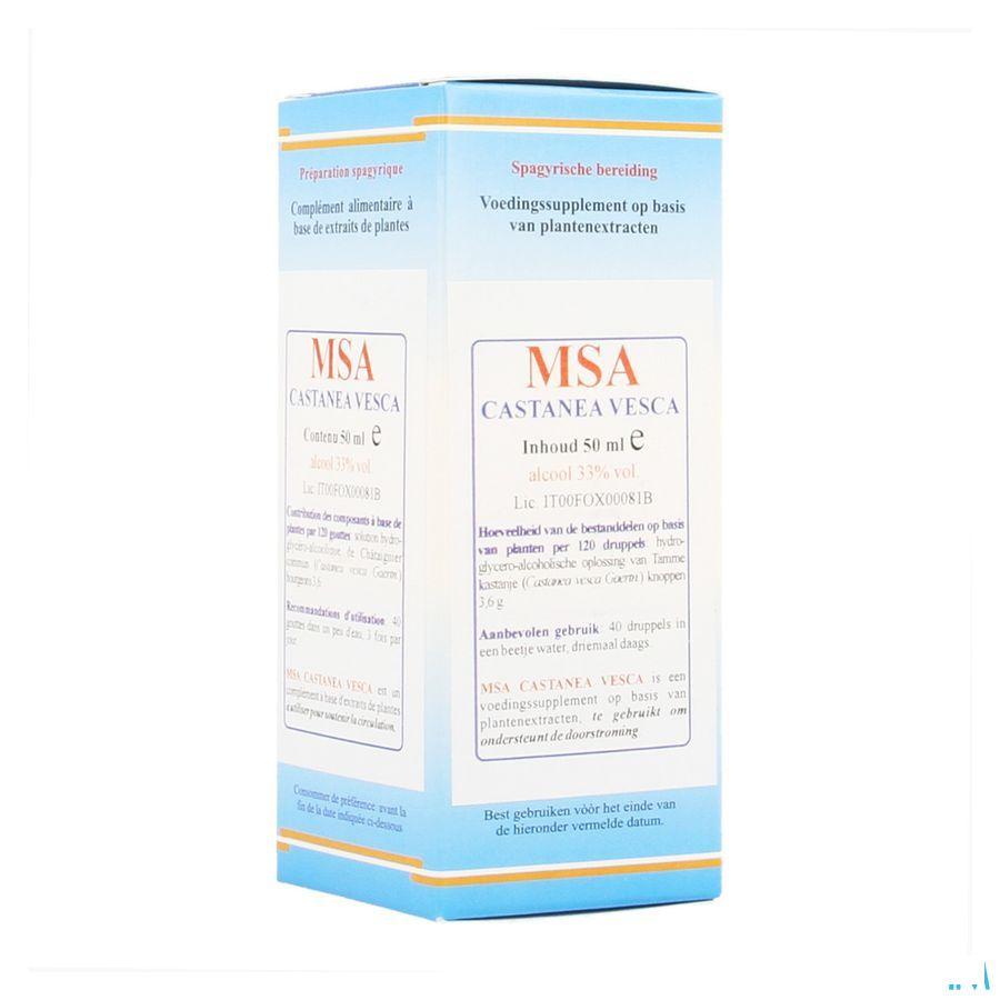 Castanea Vesca Msa Maceraat Druppels 50 ml  -  Herboplanet