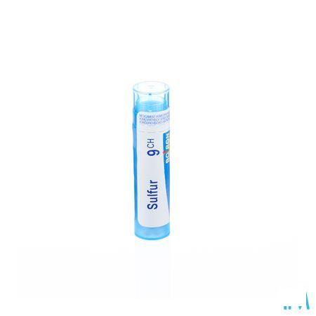 Sulfur 9CH Gr 4g  -  Boiron