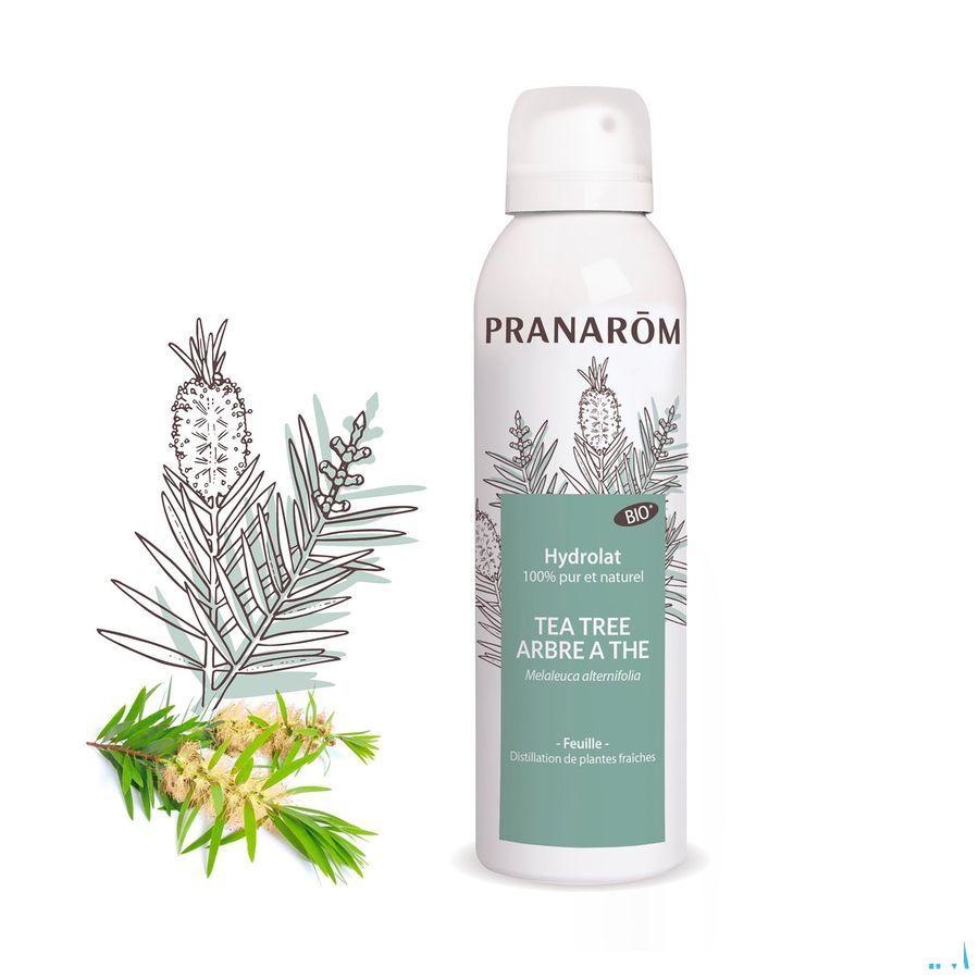 Hydrolat Tea Tree Bio 150  ml Pranarom  -  Pranarom