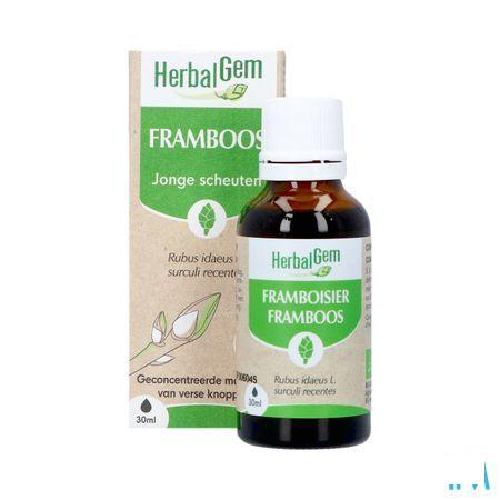 Herbalgem Frambois Bio 30 ml