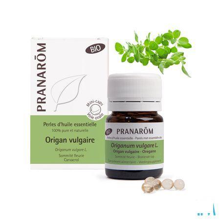 Aromaperles Origan Vulgaire Capsule 60  -  Pranarom