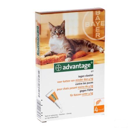 Advantage 40 Chats 