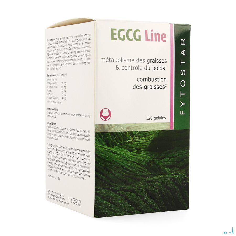 Fytostar Egcg Line Maxi Capsule 120  -  Ocebio