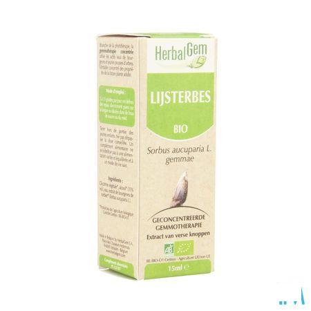 Herbalgem Lijsterbes Maceraat 15 ml  -  Herbalgem