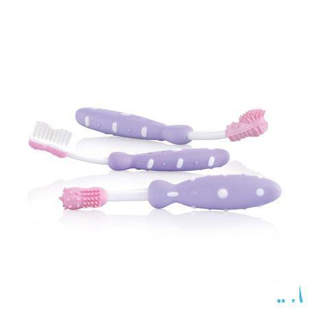 Nuby Tandenborstelset 3 Stuks 3m +   -  New Valmar