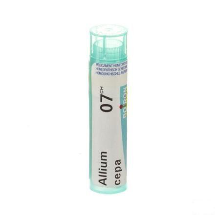 Allium Cepa 7CH Gr 4g  -  Boiron