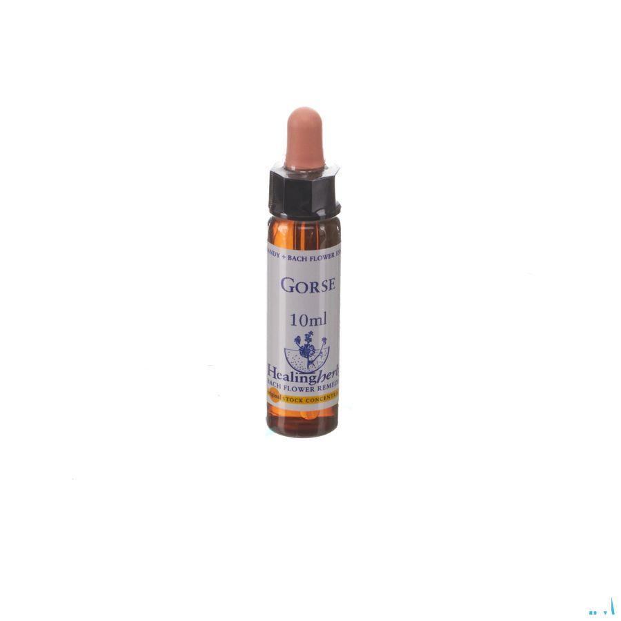 Healing Herbs Gorse 10 ml