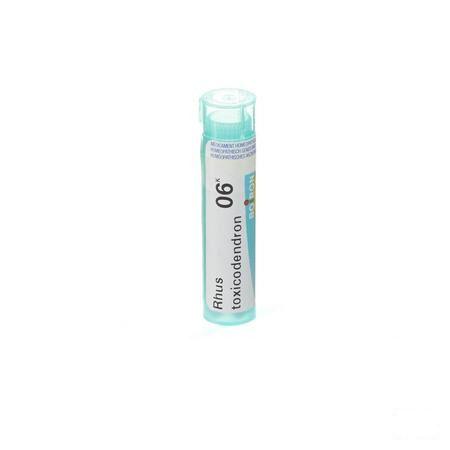 Rhus Toxicodendron 6k Gr 4g  -  Boiron