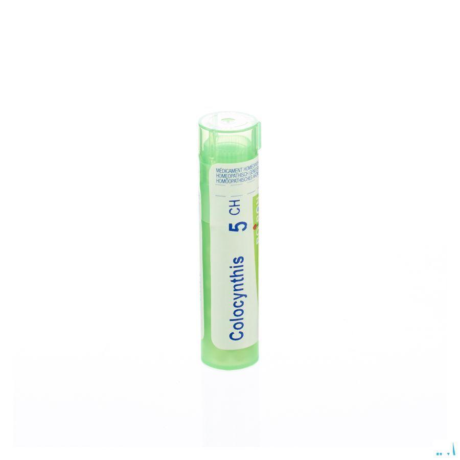 Colocynthis 5CH Gr 4g  -  Boiron