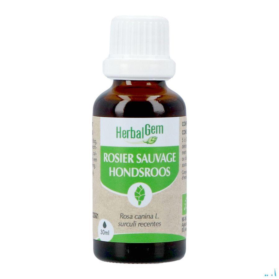 Herbalgem Rosier Sa Bio 30 ml