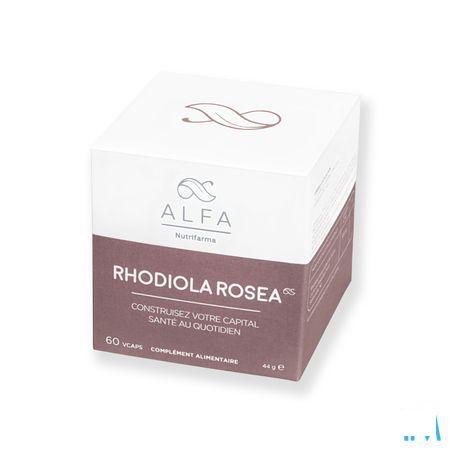 Alfa Rhodiola Rosea 500 mg V-Capsule 60  -  Nutrifarma