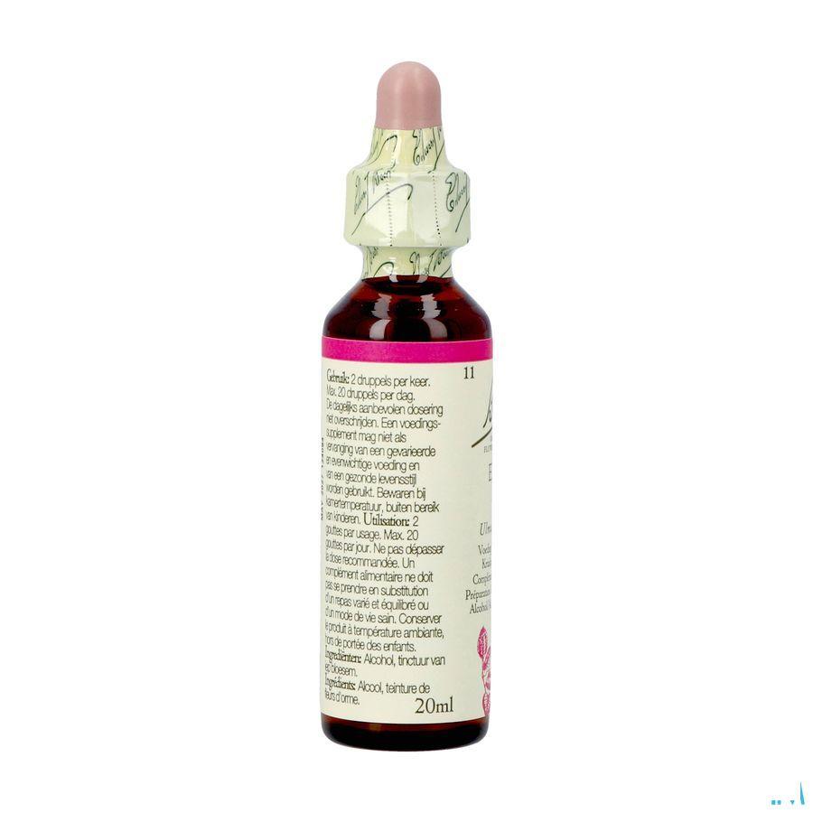 Bach Flower Remedie 11 Elm 20 ml