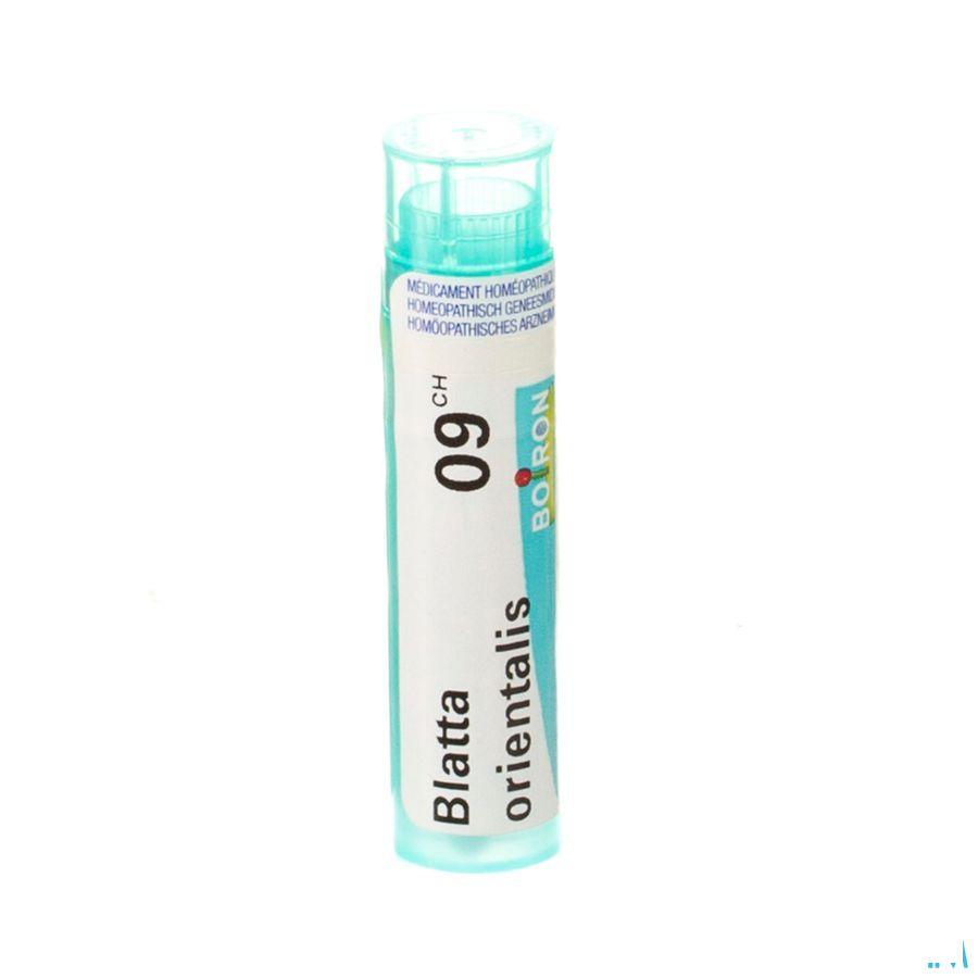 Blatta Orientalis 9CH Gr 4g  -  Boiron