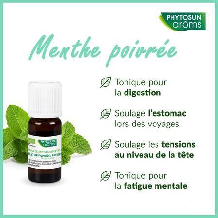 Phytosun Pepermunt Fr-bio-01 10 ml