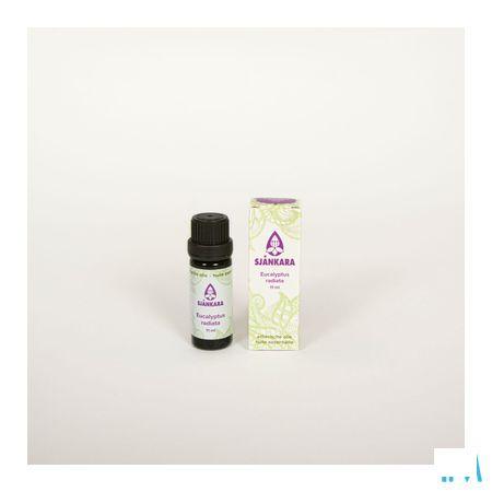 Sjankara Eucalyptus Radiata Bio Essentiele Olie 11 ml