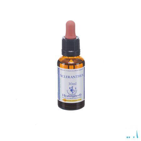 Healing Herbs Scleranthus 30 ml
