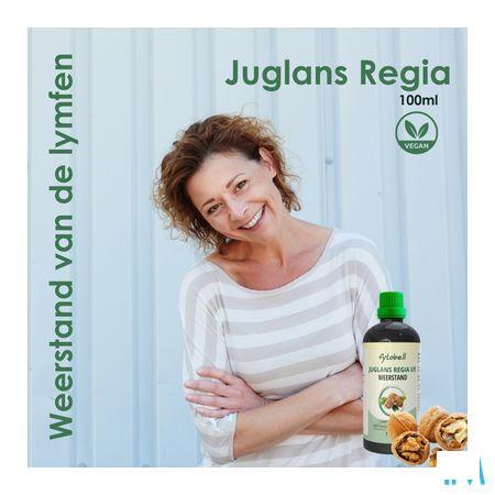 Fytobell Juglans Regia Ue 100 ml