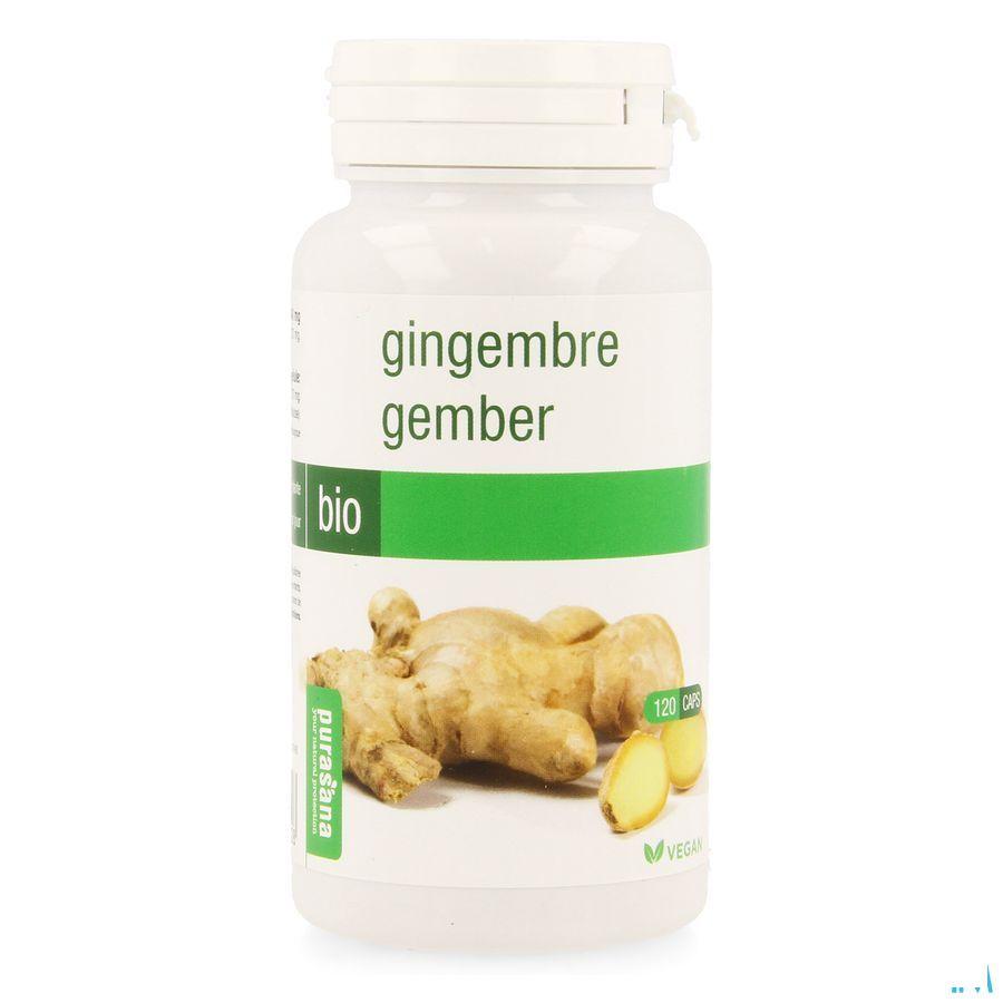 Gember Bio Capsule 120x190 mg