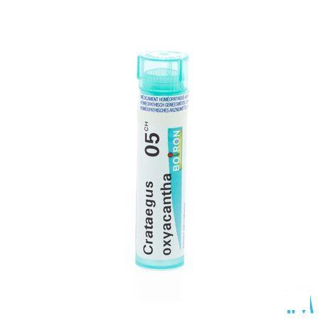 Crataegus Oxyacantha 5CH Gr 4g  -  Boiron