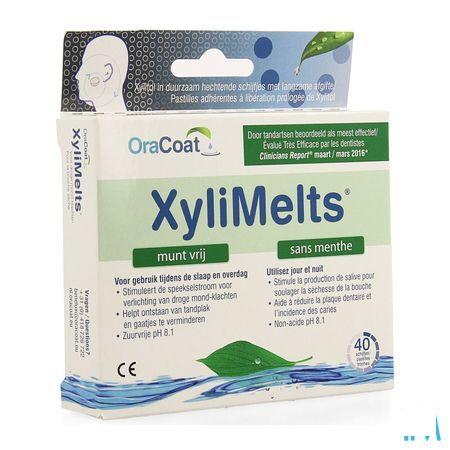 Xylimelts S/Menthe Tabl 2X20