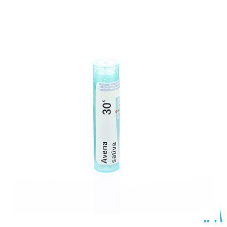 Avena Sativa 30K Gr 4g  -  Boiron