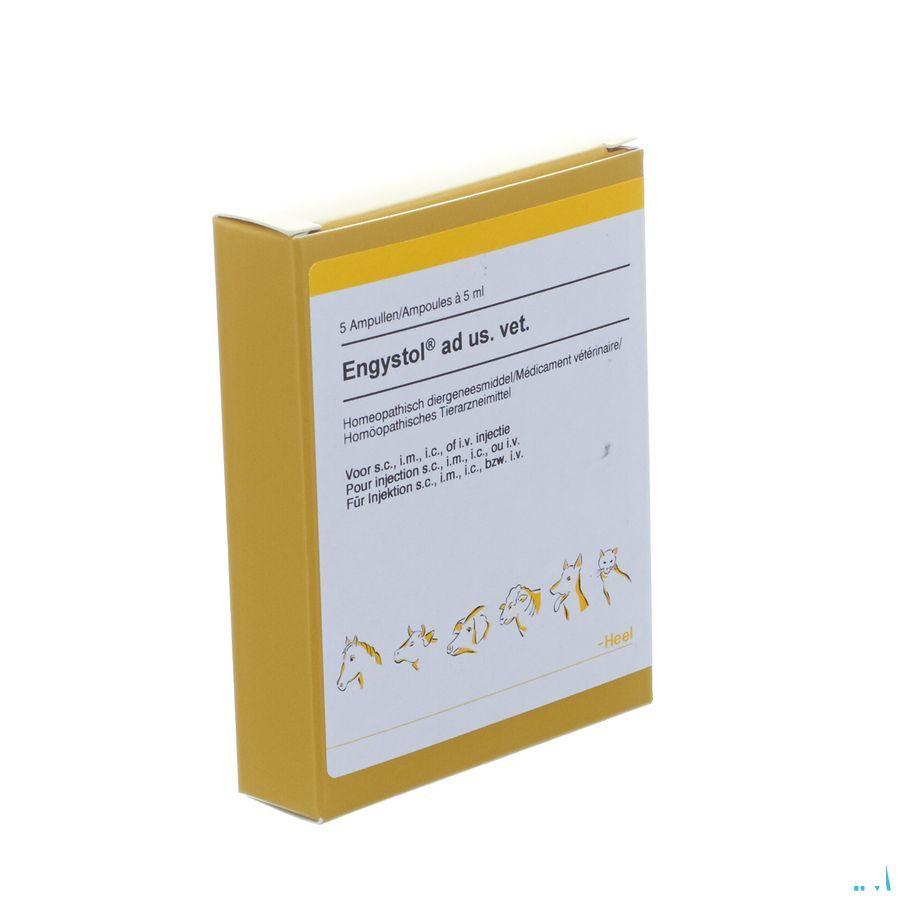 Engystol N Ad Us.Vet Amp 5X5,0 ml